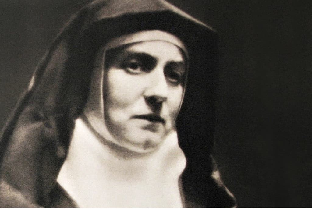 Heroes Of The Faith: Edith Stein (St. Teresa Benedicta Of The Cross ...