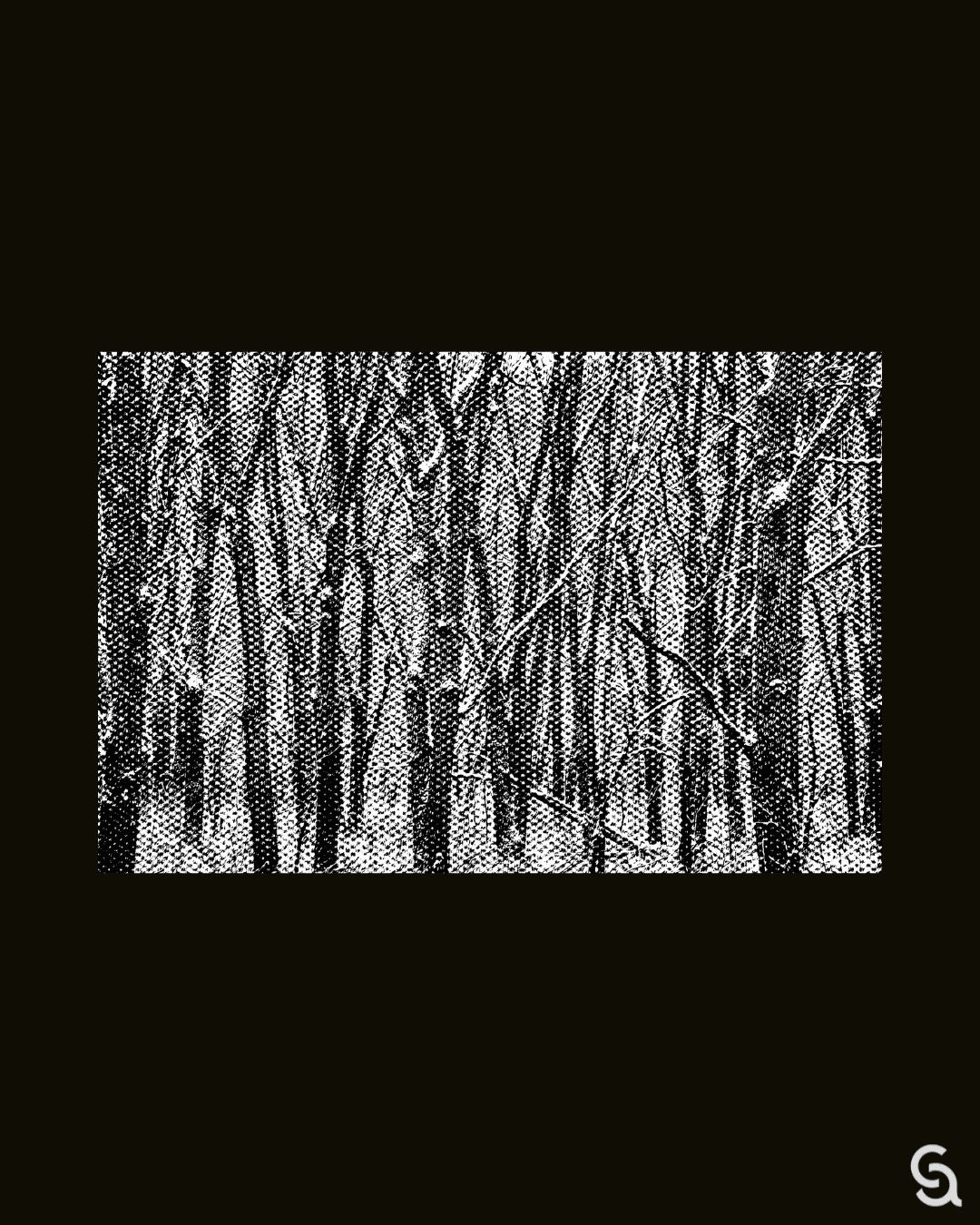 a-whisper-in-herod-s-winter-christmas-as-clandestine-hope-christians